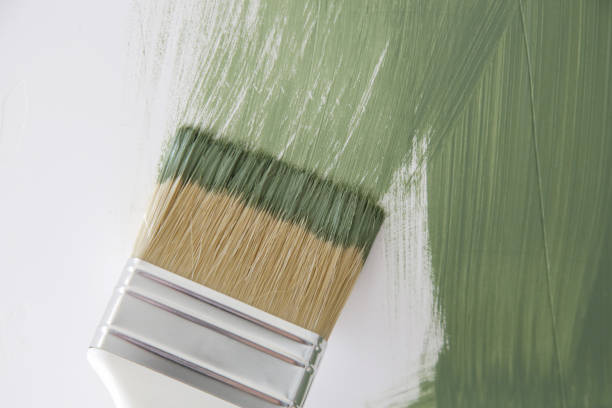 Best Basement Mold Removal  in Jonesboro, IN