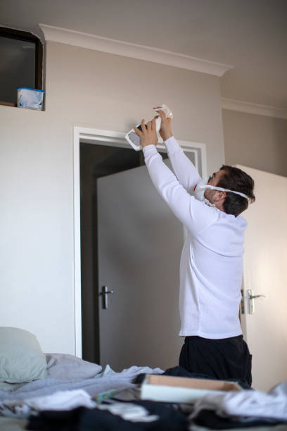 Best Mold Damage Restoration  in Jonesboro, IN
