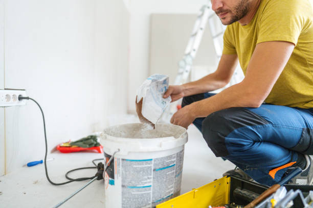 Best Post-Construction Mold Inspection  in Jonesboro, IN