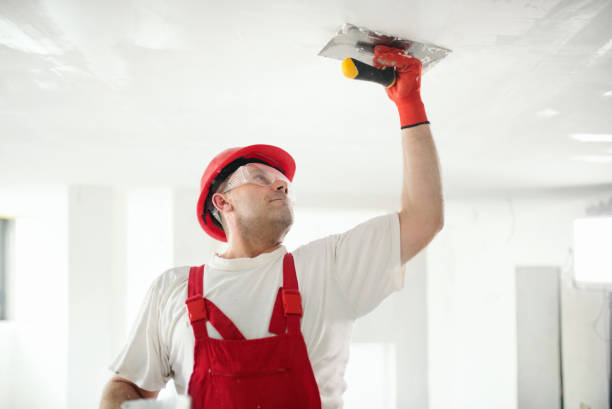 Best Asbestos and Lead Testing During Mold Inspection  in Jonesboro, IN