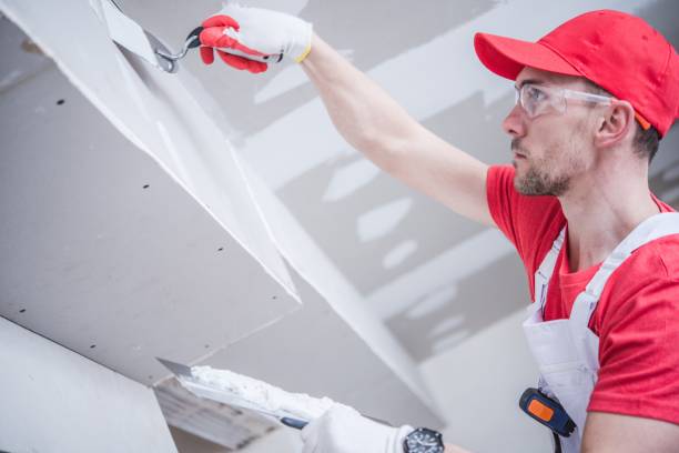 Best Commercial Mold Inspection  in Jonesboro, IN